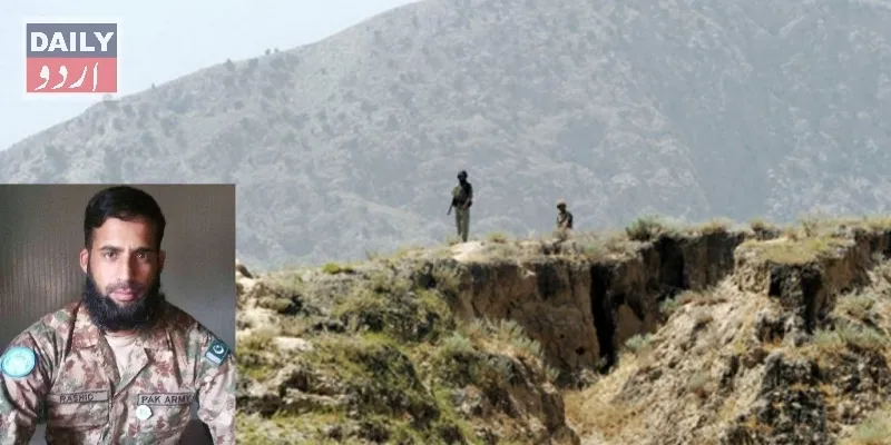 دہشتگردی