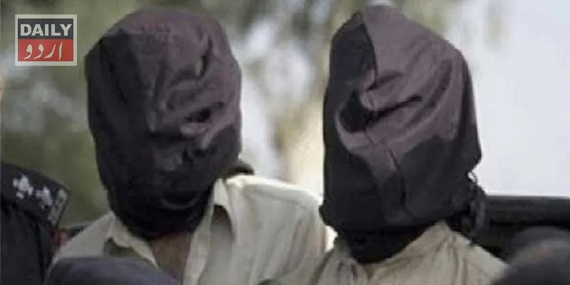 دہشتگردی