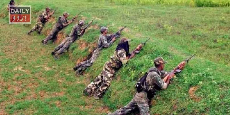 دہشتگردی