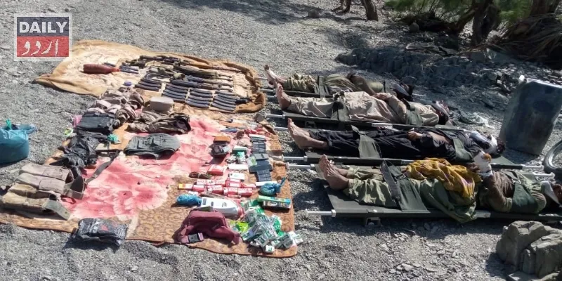 دہشتگردی