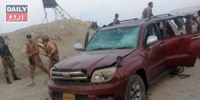 دہشتگردی