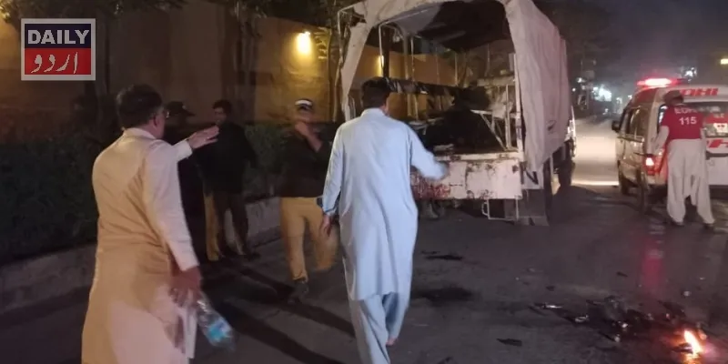دہشتگردی