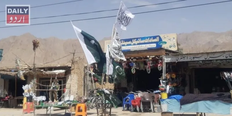 کرائمز