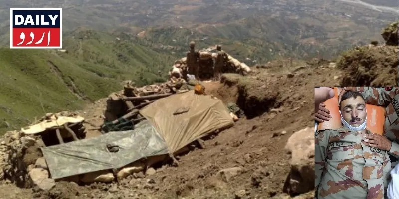 دہشتگردی
