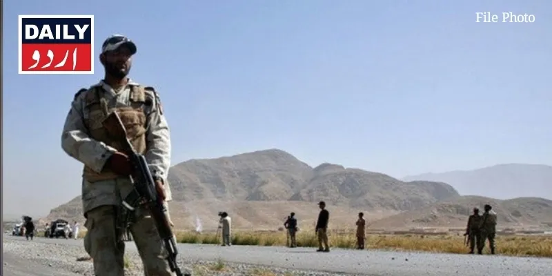 دہشتگردی