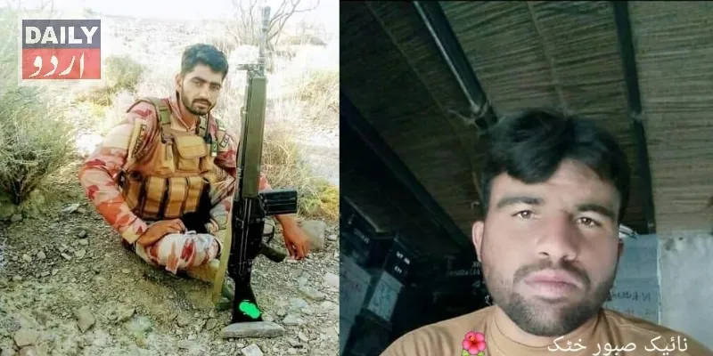 دہشتگردی