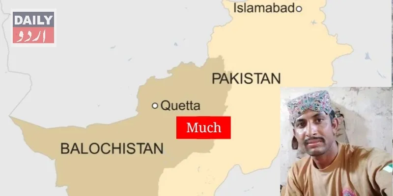 دہشتگردی