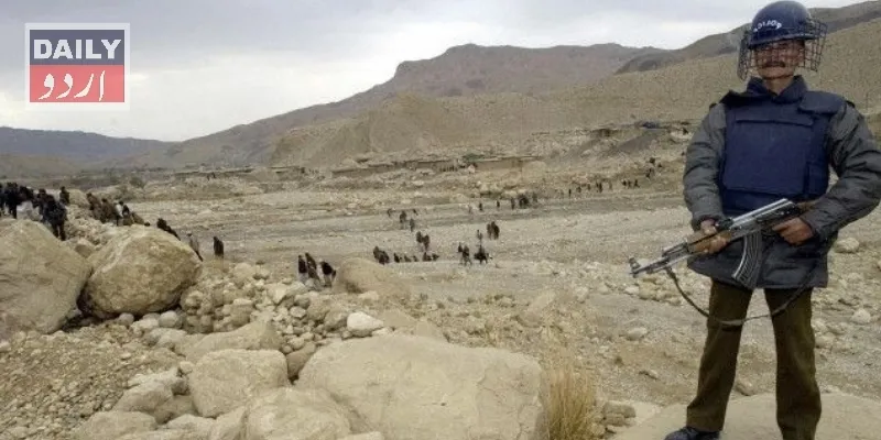 دہشتگردی