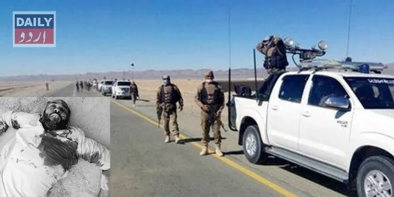 دہشتگردی