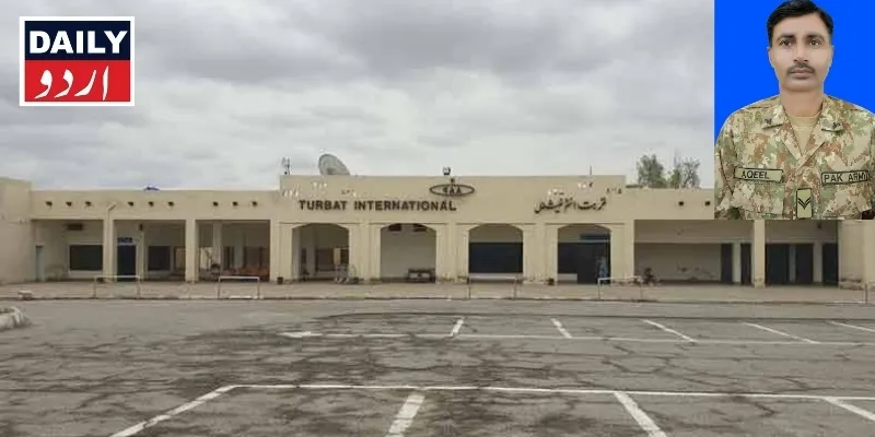 دہشتگردی