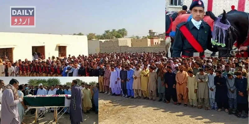 دہشتگردی