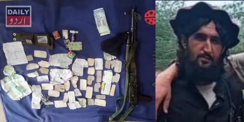 دہشتگردی