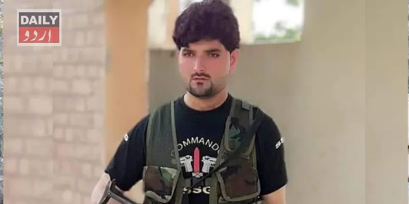 دہشتگردی