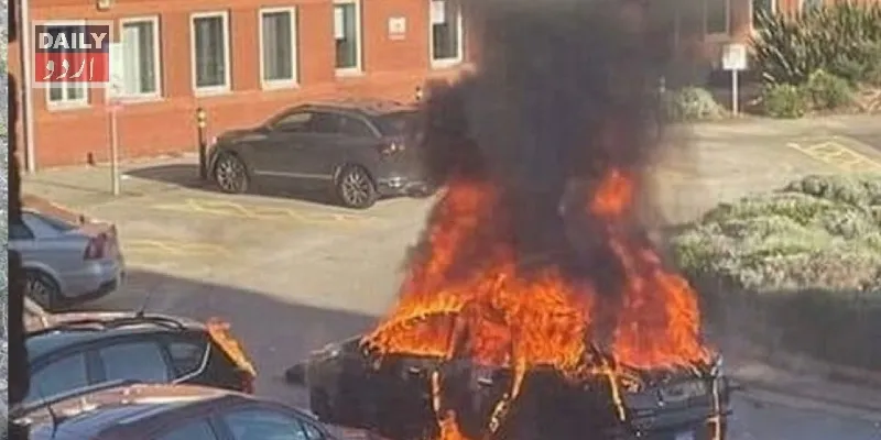 دہشتگردی
