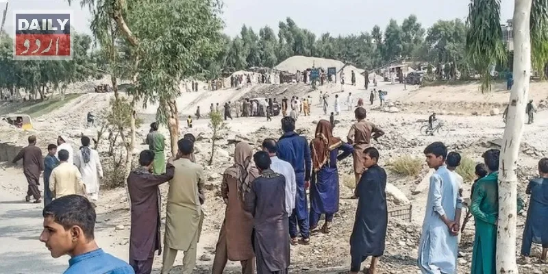 دہشتگردی