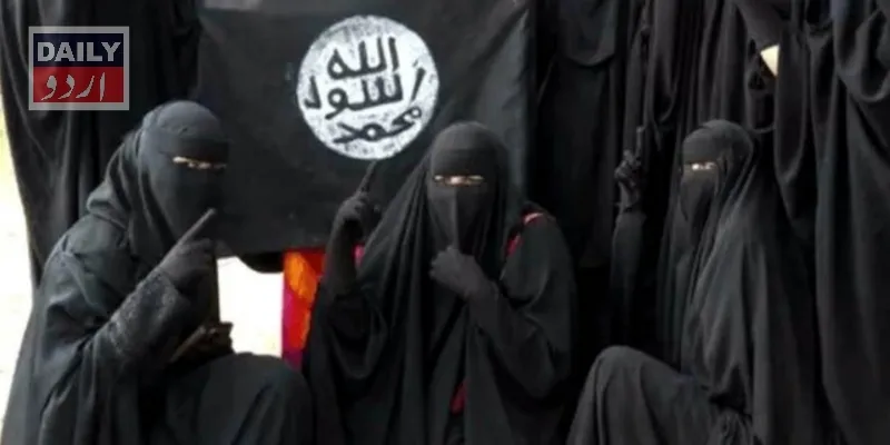 دہشتگردی