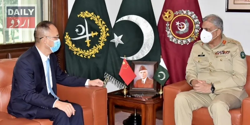 دہشتگردی