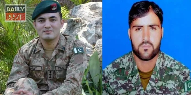 دہشتگردی