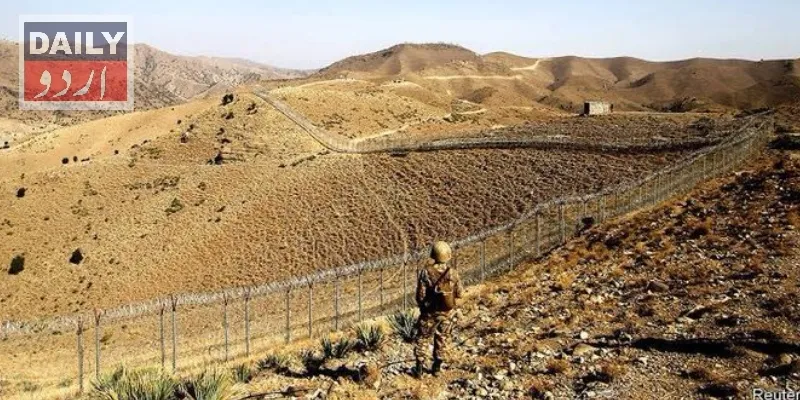 دہشتگردی