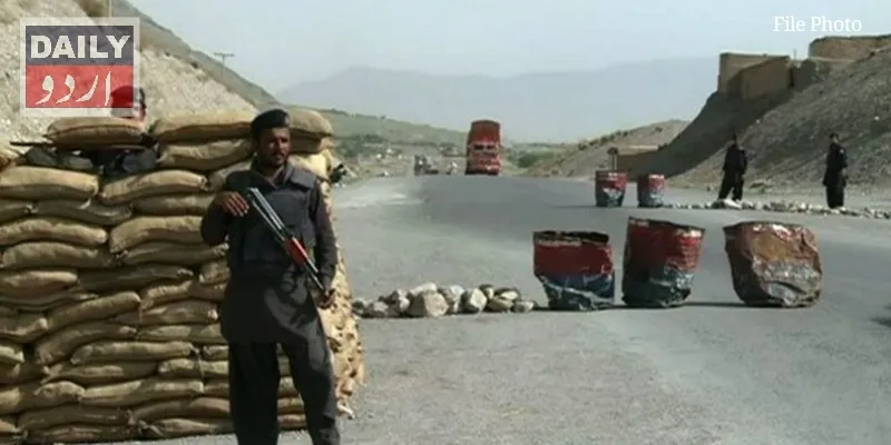 دہشتگردی
