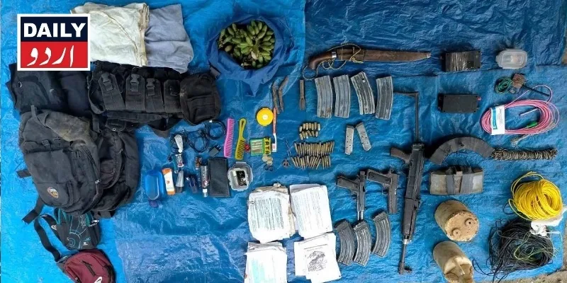 دہشتگردی