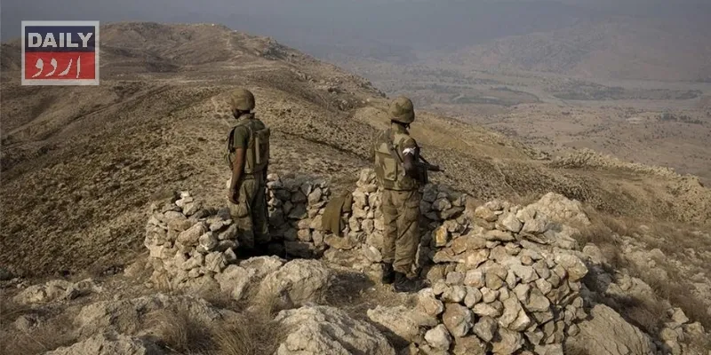 دہشتگردی