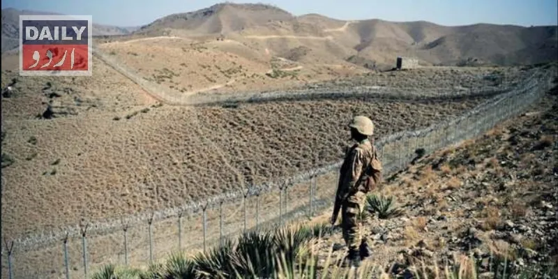 دہشتگردی