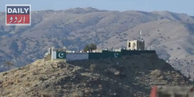 دہشتگردی