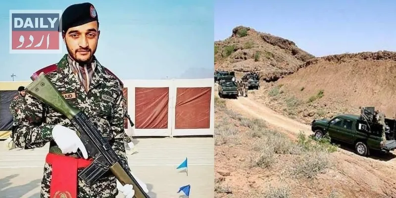 دہشتگردی