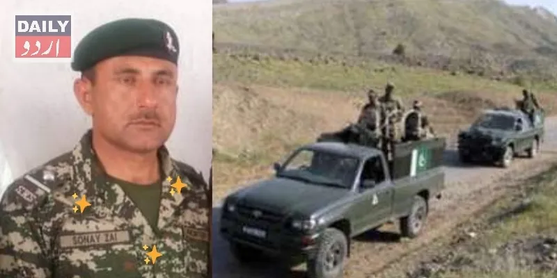 دہشتگردی