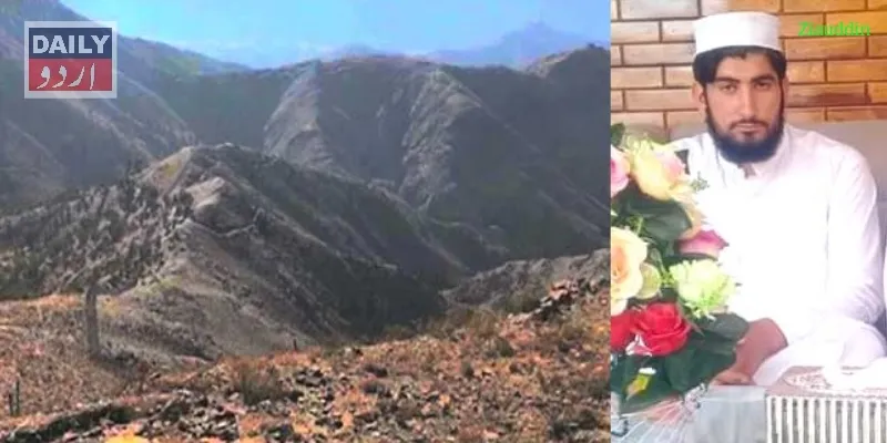 دہشتگردی