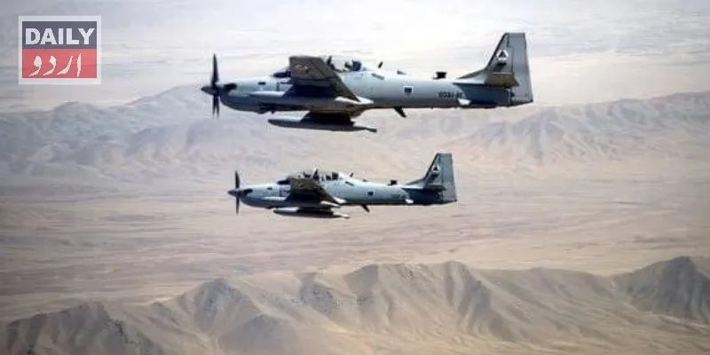 دہشتگردی
