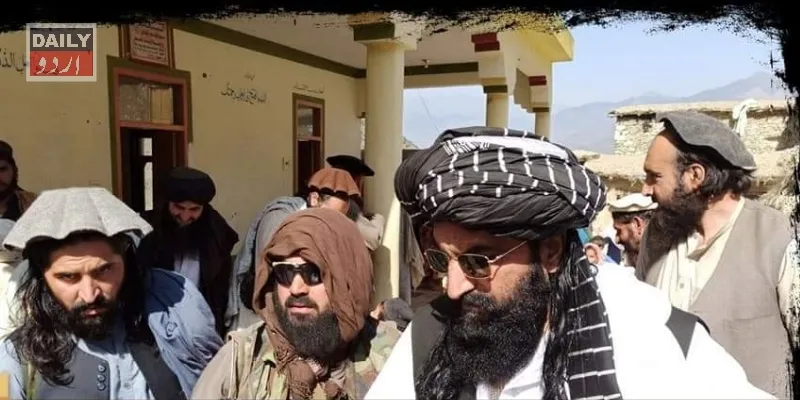 دہشتگردی