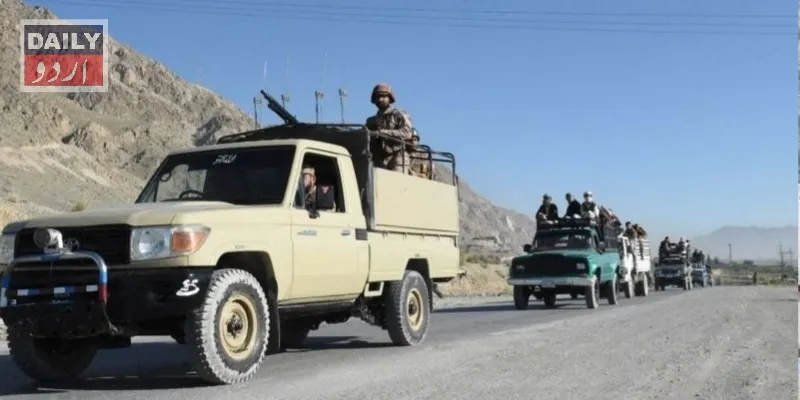 دہشتگردی