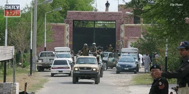 دہشتگردی
