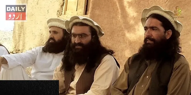 دہشتگردی