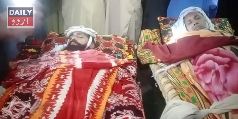 دہشتگردی