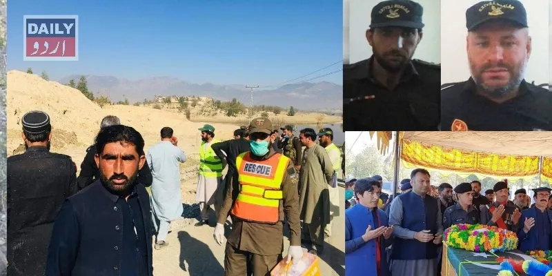 دہشتگردی