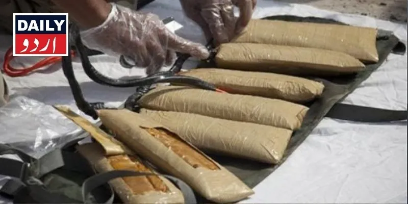دہشتگردی