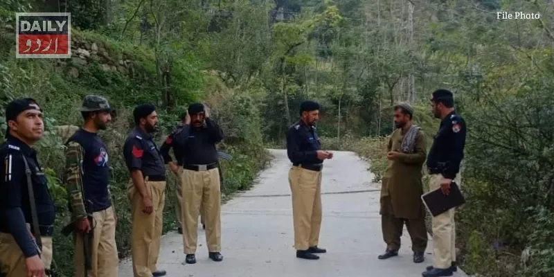 دہشتگردی
