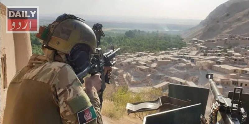 دہشتگردی