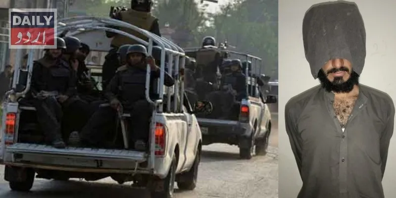 دہشتگردی