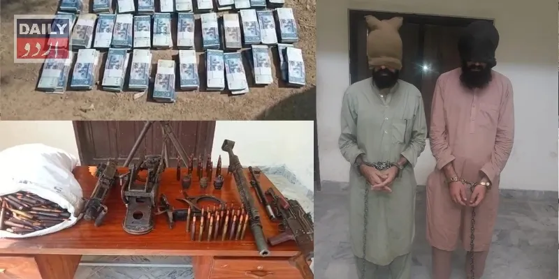 دہشتگردی