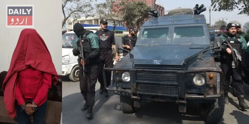 دہشتگردی