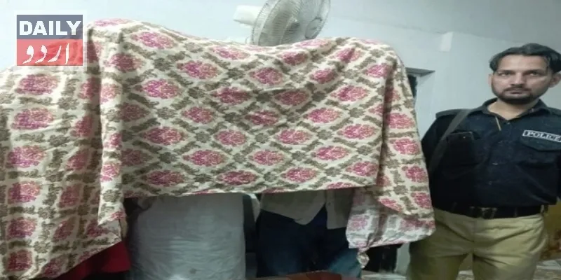 دہشتگردی