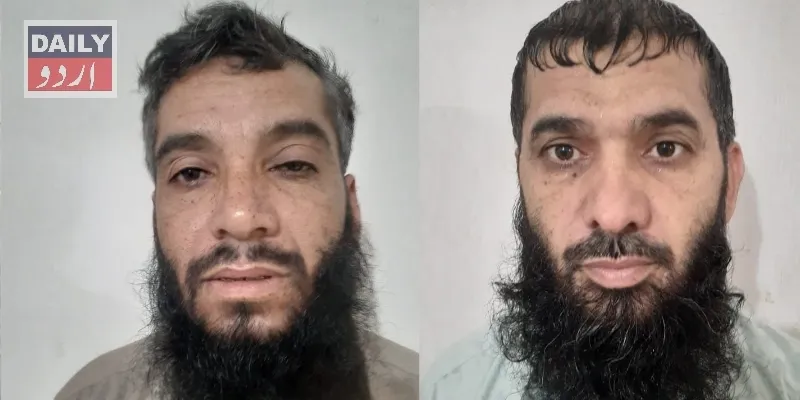 دہشتگردی