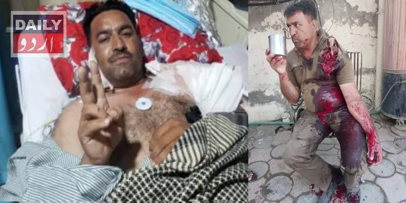 دہشتگردی