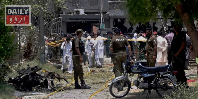 دہشتگردی