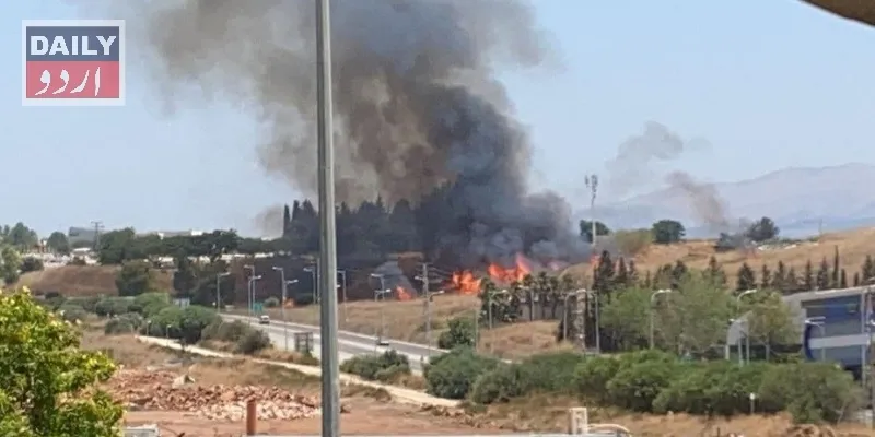 دہشتگردی