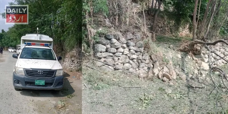 دہشتگردی